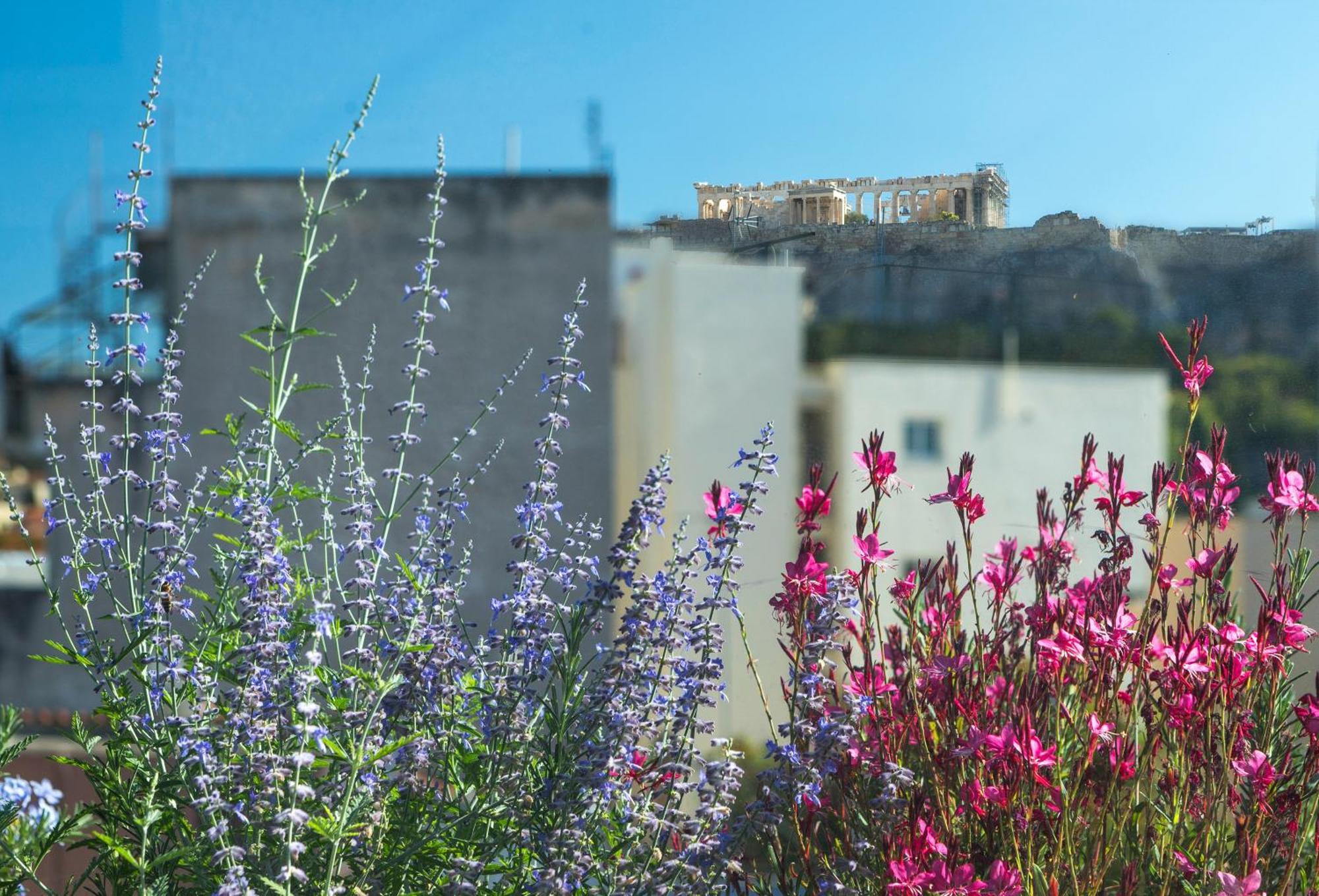 The Residence Christokopidou Hotel & Spa Athene Buitenkant foto